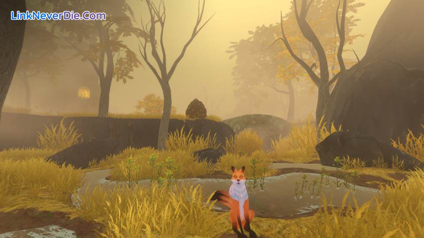 Hình ảnh trong game The Wild Eternal (screenshot)