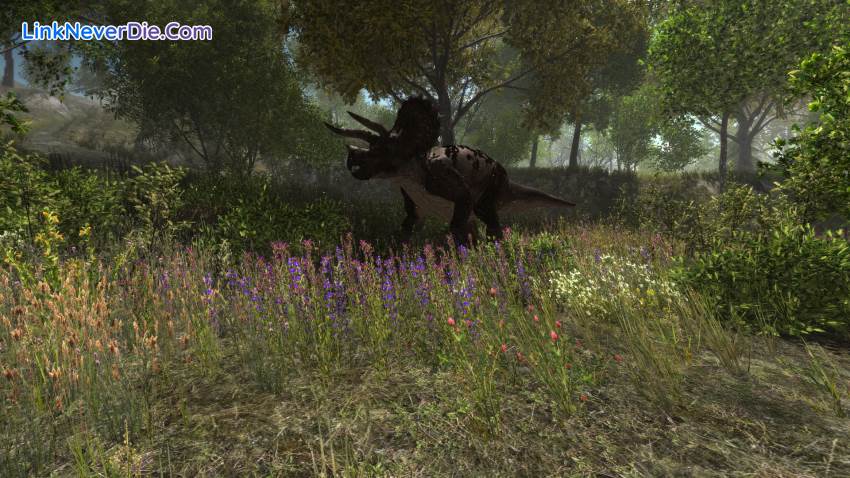 Hình ảnh trong game Dinosaur Forest (screenshot)