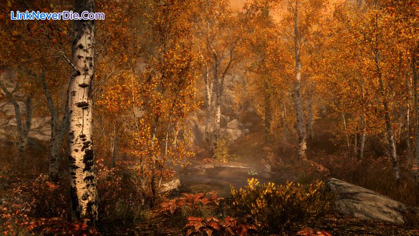 Hình ảnh trong game The Elder Scrolls V Skyrim Legendary Edition (screenshot)
