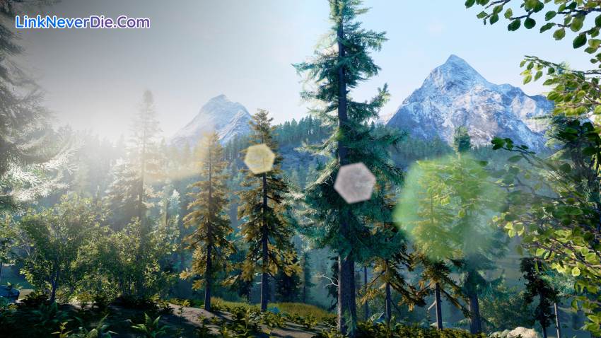 Hình ảnh trong game Hunting Simulator (screenshot)