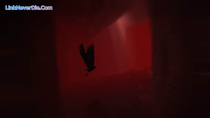 Hình ảnh trong game Rise of Insanity (screenshot)