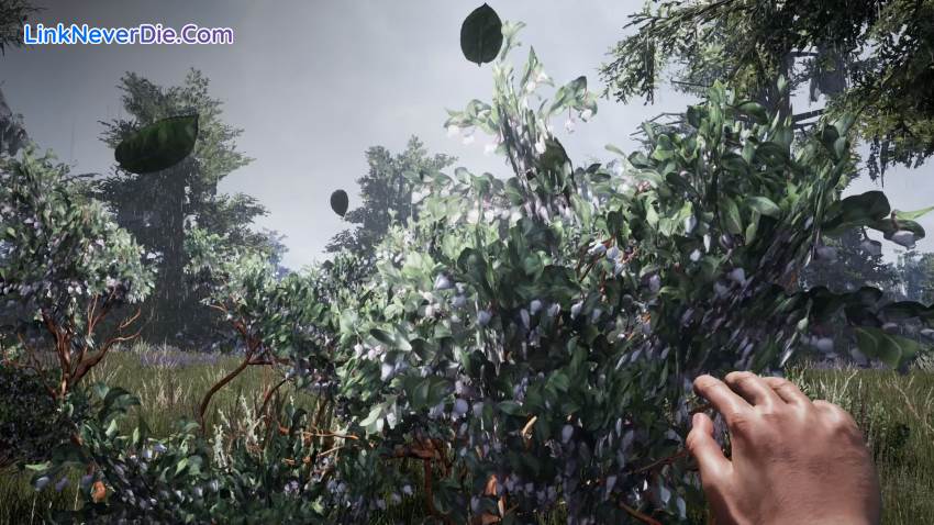 Hình ảnh trong game Fragmented (screenshot)