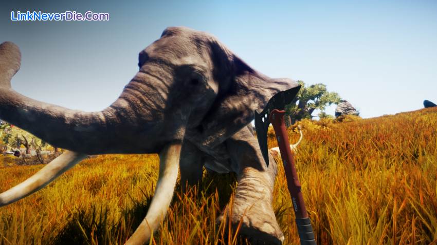 Hình ảnh trong game Animallica (screenshot)