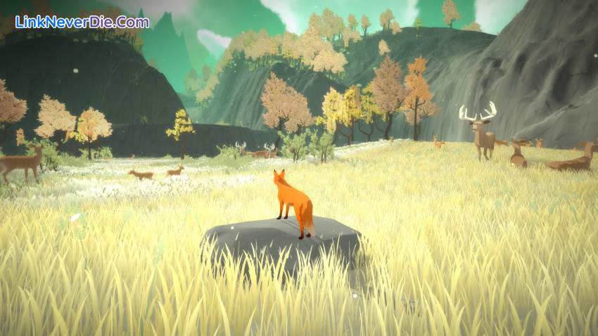Hình ảnh trong game The First Tree (screenshot)