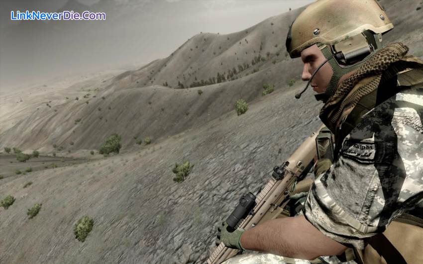 Hình ảnh trong game ArmA 2: Reinforcements (screenshot)