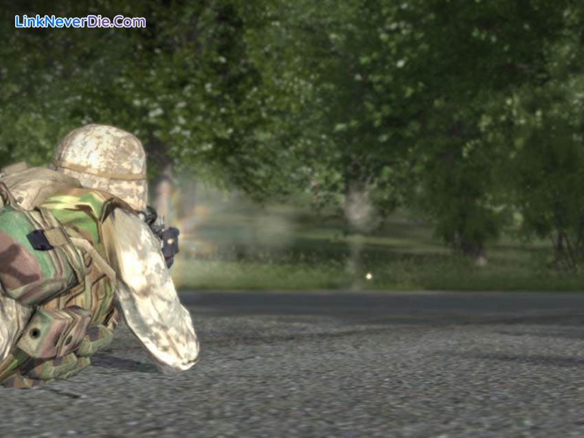 Hình ảnh trong game ARMA: Armed Assault (screenshot)