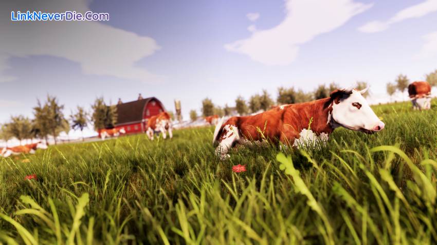 Hình ảnh trong game Real Farm (screenshot)