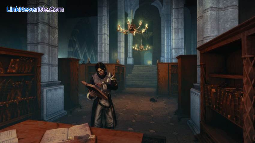 Hình ảnh trong game Risen 2 Dark Waters (screenshot)