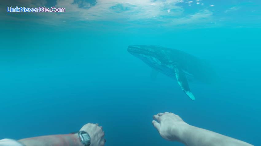 Hình ảnh trong game Stranded Deep (screenshot) Hình ảnh trong game Stranded Deep (screenshot)