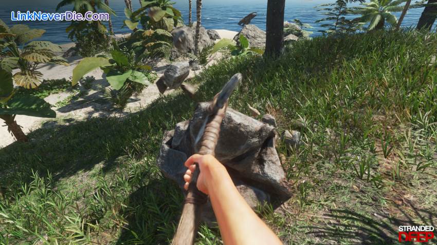 Hình ảnh trong game Stranded Deep (screenshot) Hình ảnh trong game Stranded Deep (screenshot)