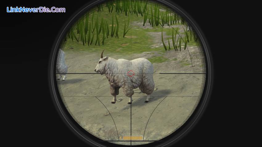 Hình ảnh trong game Deer Hunter: Reloaded (screenshot)