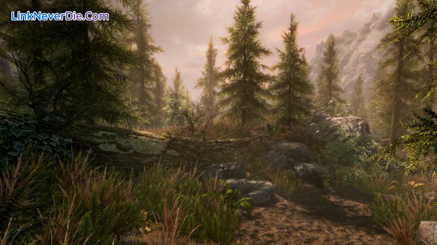 Hình ảnh trong game The Elder Scrolls V: Skyrim Ultimate HD Edition (screenshot)