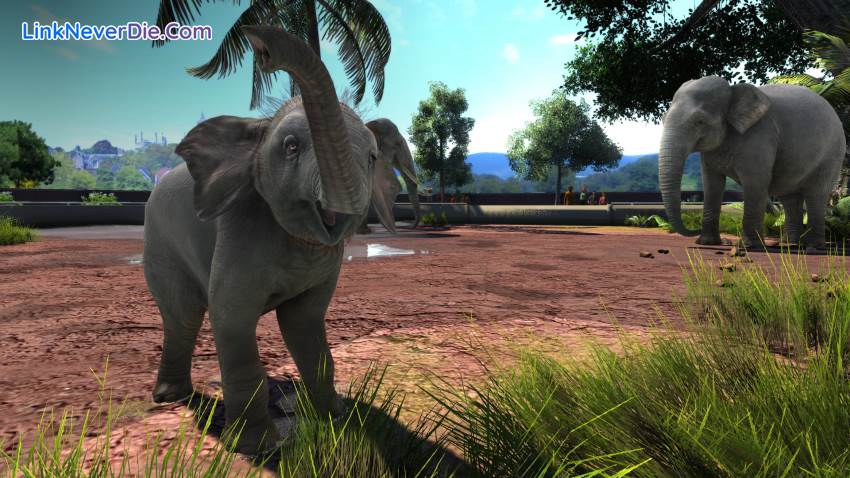 Hình ảnh trong game Zoo Tycoon: Ultimate Animal Collection (screenshot)