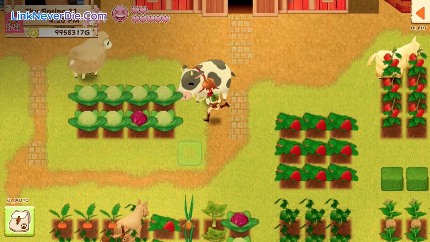 Hình ảnh trong game Harvest Moon: Light of Hope (screenshot)
