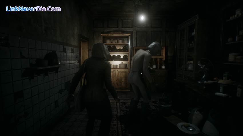 Hình ảnh trong game Remothered: Tormented Fathers (screenshot)