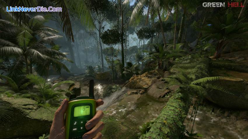 Hình ảnh trong game Green Hell (screenshot)