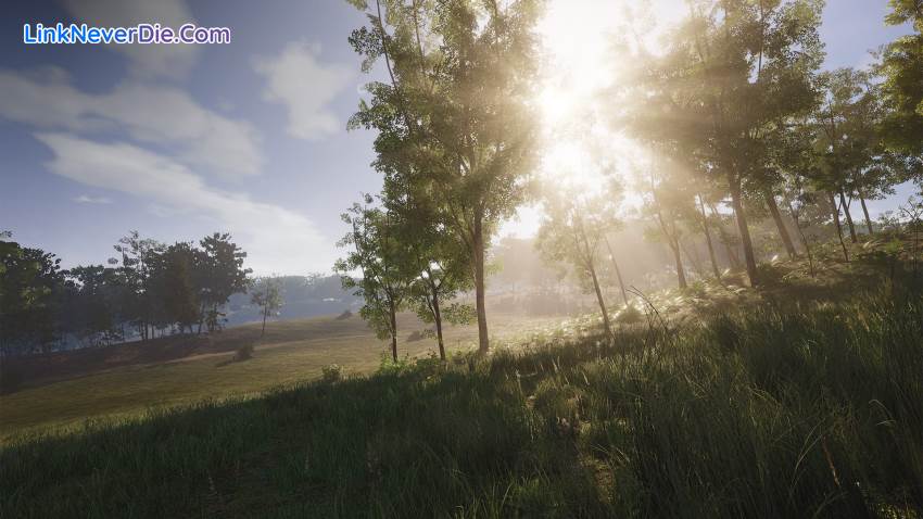 Hình ảnh trong game SCUM (screenshot)