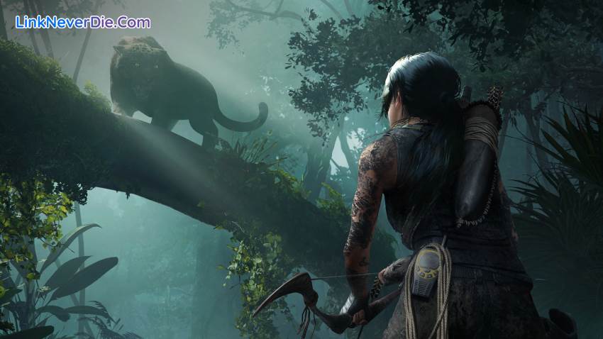 Hình ảnh trong game Shadow of The Tomb Raider (screenshot)