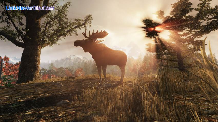 Hình ảnh trong game Subsistence (screenshot)