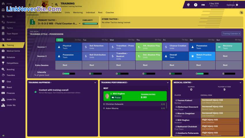Hình ảnh trong game Football Manager 2019 (screenshot)