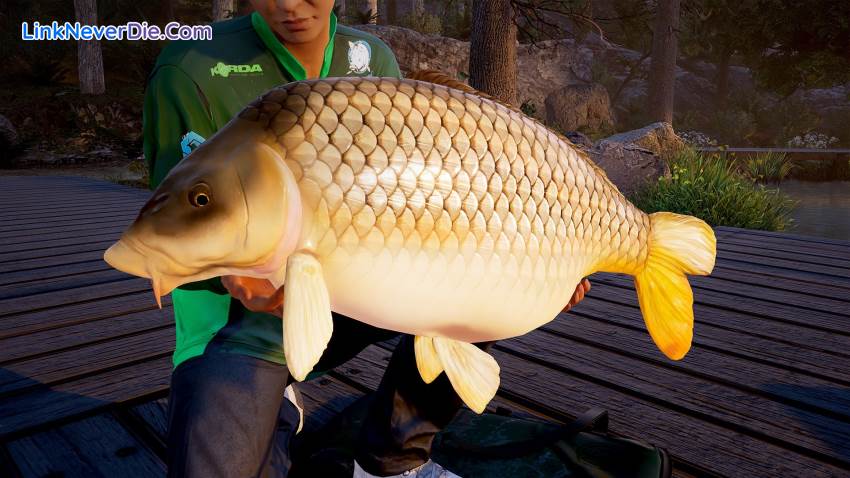 Hình ảnh trong game Fishing Sim World (screenshot)