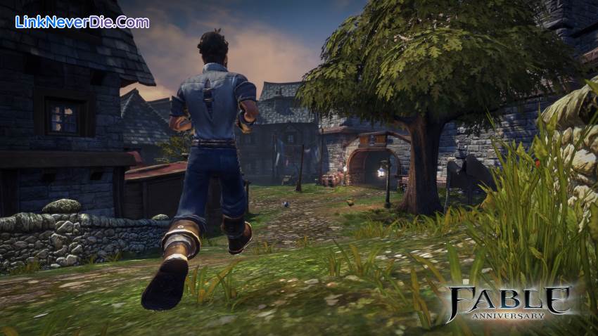 Hình ảnh trong game Fable Anniversary (screenshot)