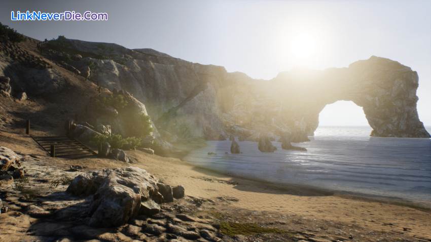 Hình ảnh trong game Treasure Hunter Simulator (screenshot)