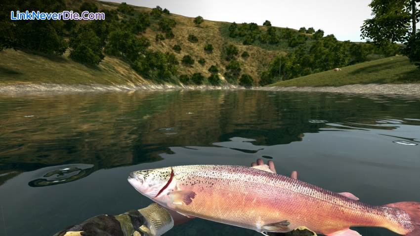 Hình ảnh trong game Ultimate Fishing Simulator (screenshot)