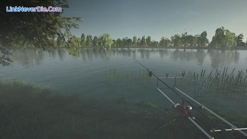 Hình ảnh trong game Ultimate Fishing Simulator (screenshot)