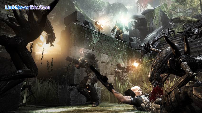 Hình ảnh trong game Aliens vs Predator (screenshot)