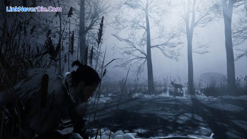 Hình ảnh trong game Fade to Silence (screenshot)