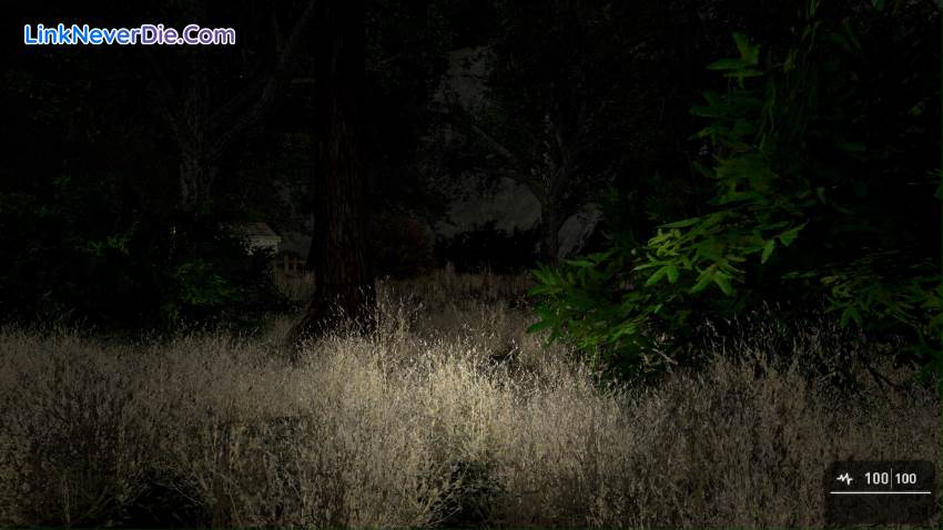 Hình ảnh trong game THE RITUAL (Indie Horror Game) (screenshot)