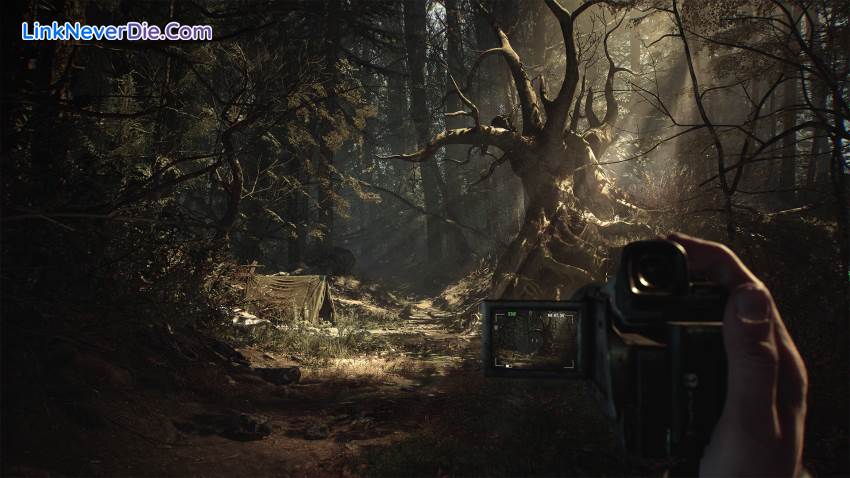Hình ảnh trong game Blair Witch (screenshot)