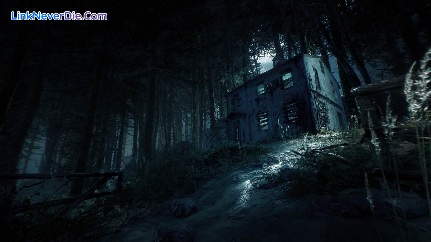Hình ảnh trong game Blair Witch (screenshot)