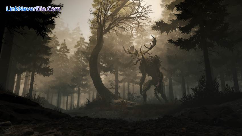 Hình ảnh trong game GreedFall (screenshot)