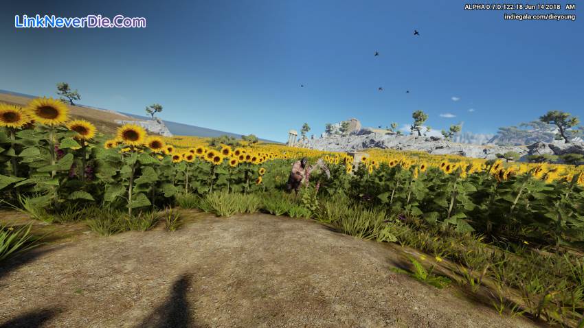 Hình ảnh trong game Die Young (screenshot)