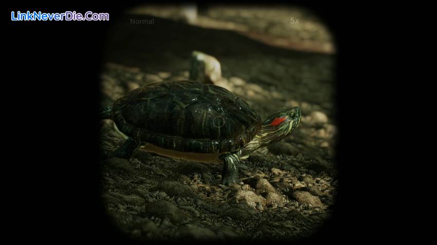 Hình ảnh trong game Morels: The Hunt (screenshot)