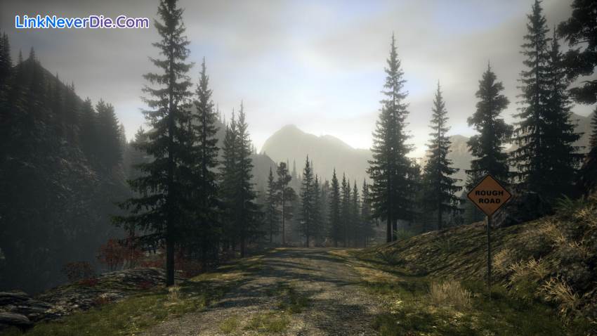 Hình ảnh trong game Alan Wake (screenshot)
