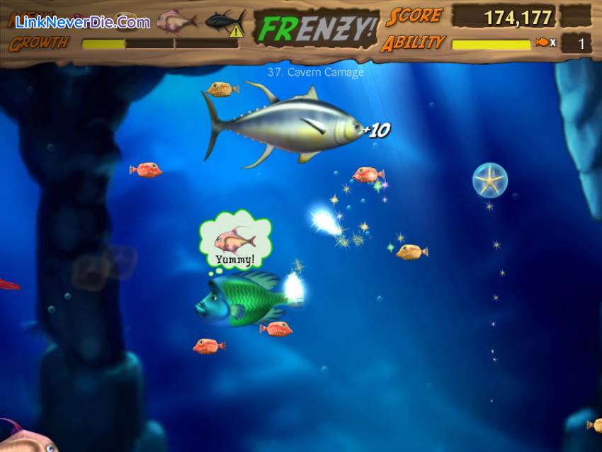 Hình ảnh trong game Feeding Frenzy (screenshot)