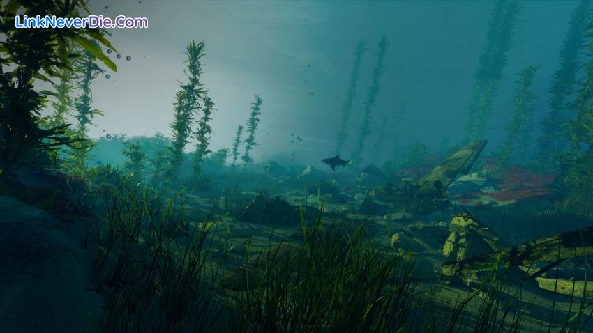 Hình ảnh trong game Maneater (screenshot)