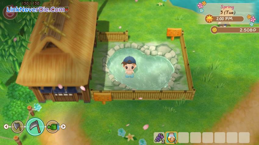 Hình ảnh trong game STORY OF SEASONS: Friends of Mineral Town (screenshot)