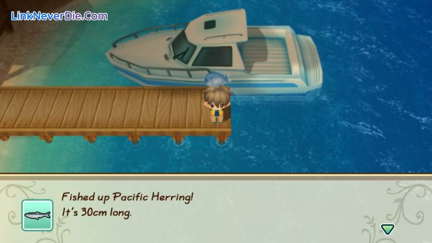 Hình ảnh trong game STORY OF SEASONS: Friends of Mineral Town (screenshot)