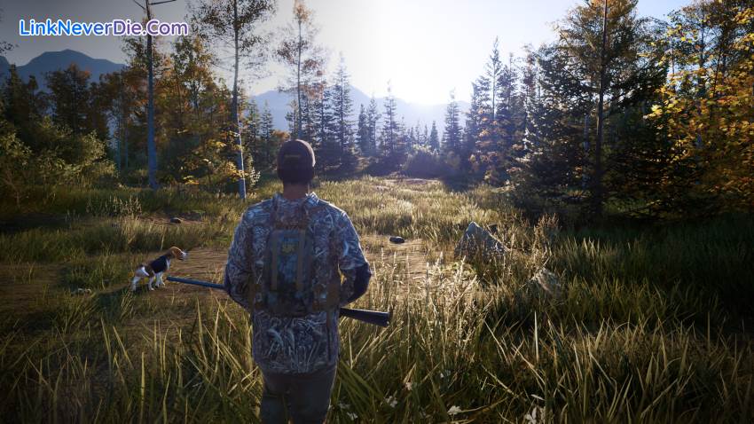 Hình ảnh trong game Hunting Simulator 2 (screenshot)