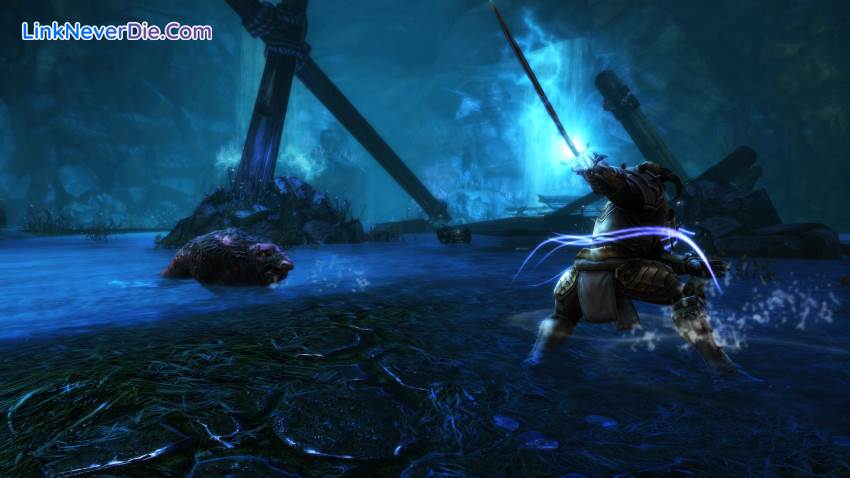 Hình ảnh trong game Kingdoms of Amalur: Re-Reckoning (screenshot)