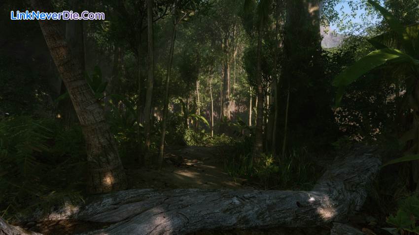 Hình ảnh trong game Crysis Remastered (screenshot)