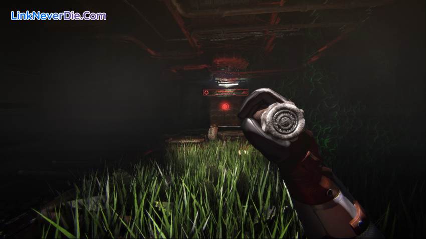 Hình ảnh trong game Cargo 3 (screenshot)