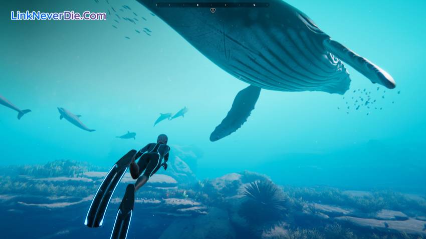 Hình ảnh trong game Beyond Blue (screenshot) Hình ảnh trong game Beyond Blue (screenshot)