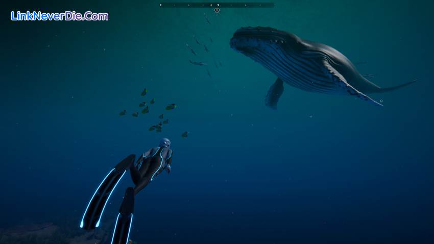 Hình ảnh trong game Beyond Blue (screenshot)