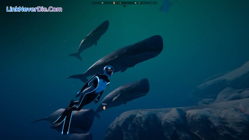 Hình ảnh trong game Beyond Blue (screenshot) Hình ảnh trong game Beyond Blue (screenshot)