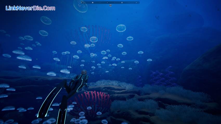 Hình ảnh trong game Beyond Blue (screenshot)